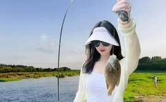 孤王猝死直播回放